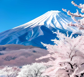 日本